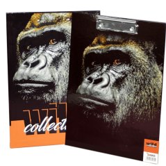 Desky s klipem UV lamino